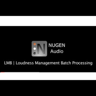 AMB Loudness Module
